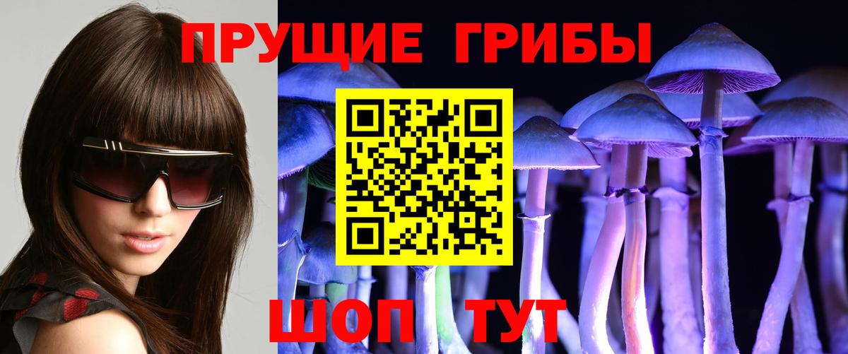 Галлюциногенные грибы Psilocybe  Галлюциногенные грибы прущие грибы  Вход с VPN  Рославль 